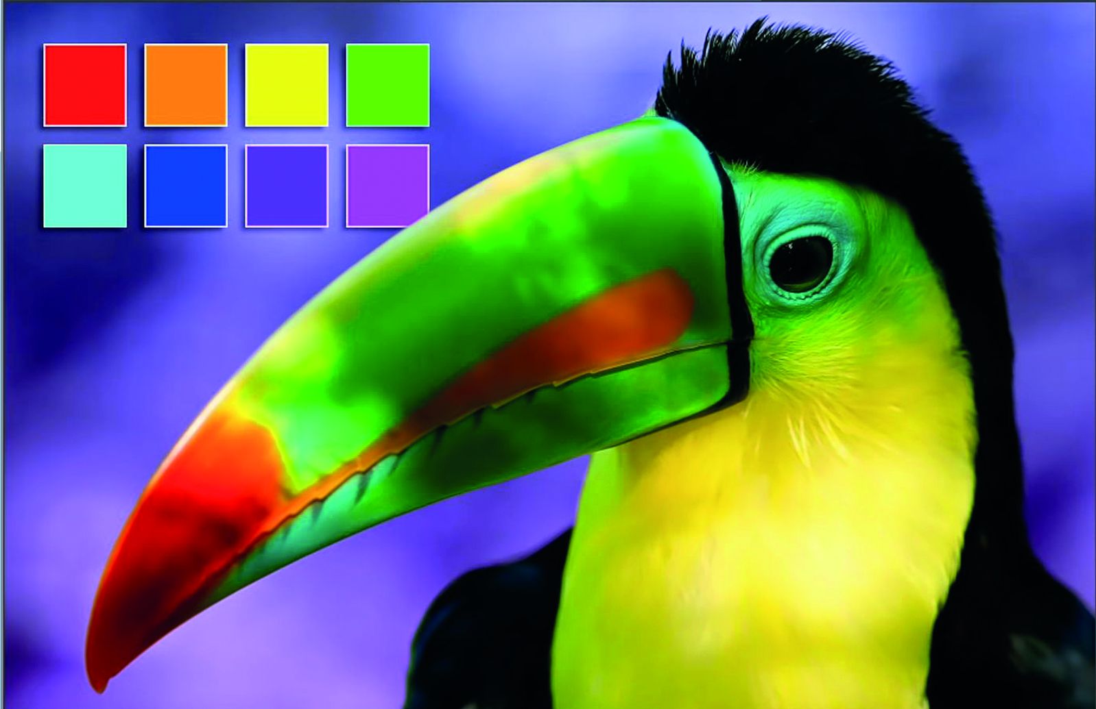 CMYK PSD.jpg